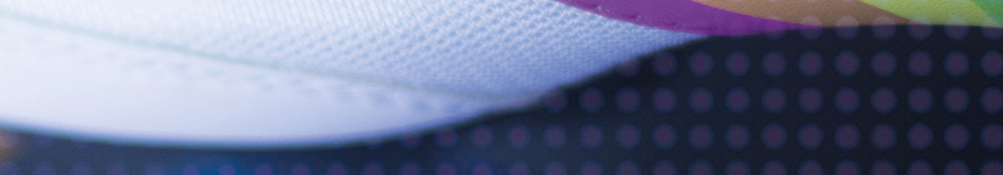 Website Block Roller Disco